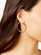 Double Hoop Faceted Earrings