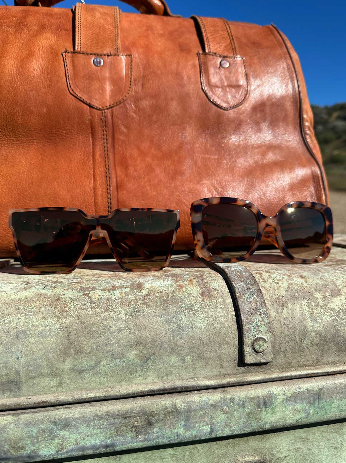 Glamorous Cat Eye Vented Temple Sunglasses - Tortoise