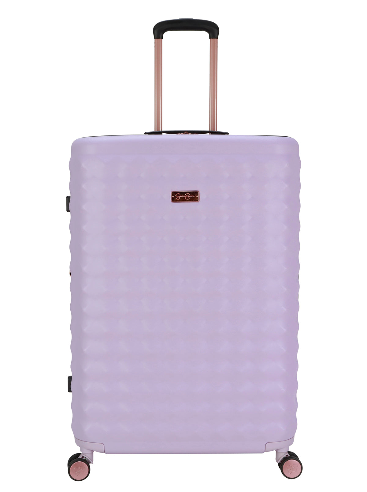 Vibrance Luggage Collection - Lavender Frost